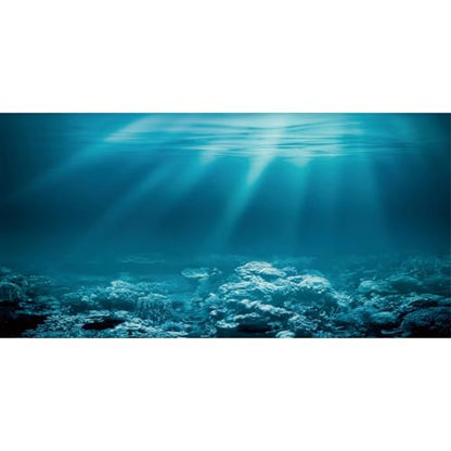 AWERT 48x20 inches Undersea Theme Aquarium Background Sunshine Underwater World Fish Tank Background Vinyl - size: 48x20in/120x50cm