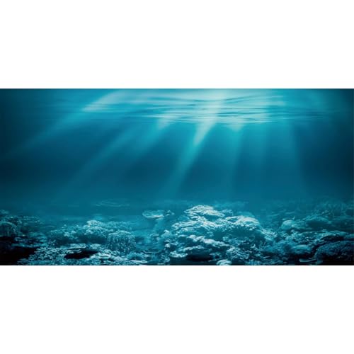 AWERT 72x16 inches Undersea Theme Aquarium Background Sunshine Underwater World Fish Tank Background Durable Polyester Background - size: 72x16in/180x40cm