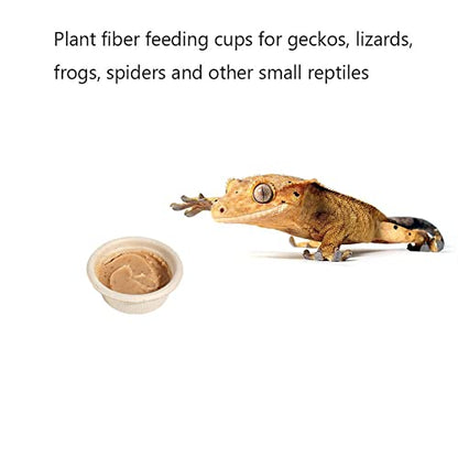 Paper Gecko Feeding Cups Reptiles Food and Water Bowls Feeder 0.5oz Small Cup Feeding Ledge Replacement Cups for Crested Gecko Lizards Spiders,100Pack