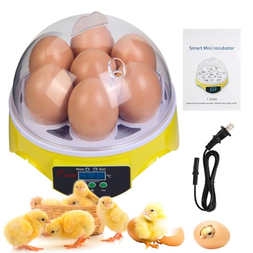 7-Egg Mini Egg Incubator with 360° View, Educational Hatching Kit for Kids, Classrooms & Families, Automatic Temperature Control & Manual Humidity Control, Suitable for Chicken, Duck & Quail Eggs