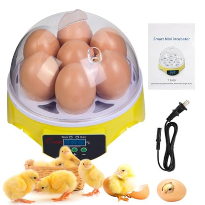 7-Egg Mini Egg Incubator with 360° View, Educational Hatching Kit for Kids, Classrooms & Families, Automatic Temperature Control & Manual Humidity Control, Suitable for Chicken, Duck & Quail Eggs
