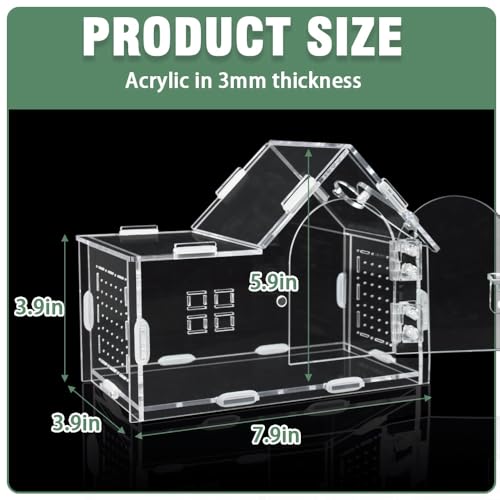 Acrylic Jumping Spider Enclosure House-Shaped Terrarium | Clear 360° view tank, magnetic door & top feeding port, 1mm vents, for mantis, tarantula, gecko & small insects - color: Transparency