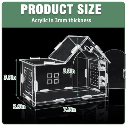 Acrylic Jumping Spider Enclosure House-Shaped Terrarium | Clear 360° view tank, magnetic door & top feeding port, 1mm vents, for mantis, tarantula, gecko & small insects - color: Transparency