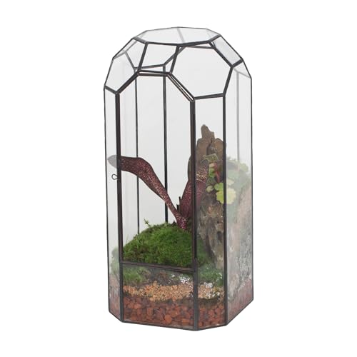 NCYP Glass Geometric Octagon Plant Terrarium with Door 5.5"x5.5"x12.8" | Indoor Vintage Planter for Tall Plants, Orchid, Small Begonia Pitcher, Home Garden Office Tabletop Decor (Terrarium Only)
