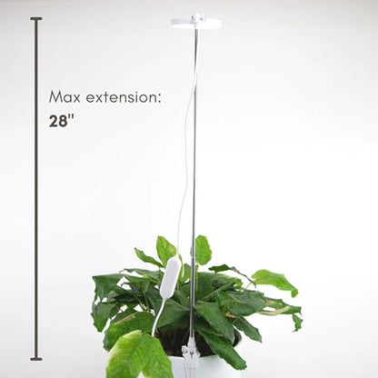 Mossify LED Grow Lights for Indoor Plants Full Spectrum – Adjustable Height (8”-28”), Dimmable Brightness, Programmable Timer, Long Lifespan – Ideal Grow Lights for Healthy Plant & Houseplants (White) - color: White