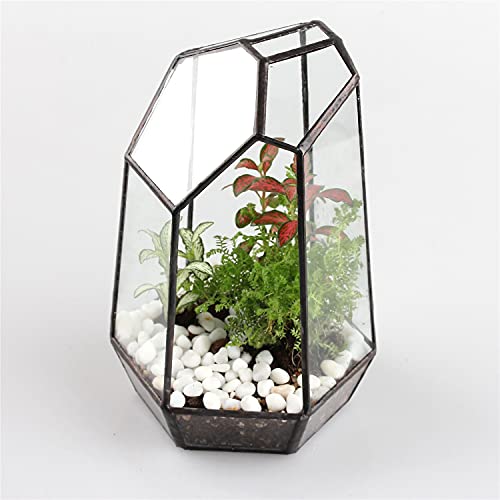 NCYP Small No Door Glass Geometric Terrarium - 4.9 x 3.9 x 7.4 Inches Irregular Clear Terrarium Pot for Mini Succulents, Small Cactus, Indoor Garden Tabletop Decoration (No Plants) - size: 4.9"x3.9"x7.4"