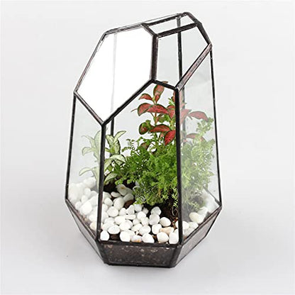 NCYP Small No Door Glass Geometric Terrarium - 4.9 x 3.9 x 7.4 Inches Irregular Clear Terrarium Pot for Mini Succulents, Small Cactus, Indoor Garden Tabletop Decoration (No Plants) - size: 4.9"x3.9"x7.4"