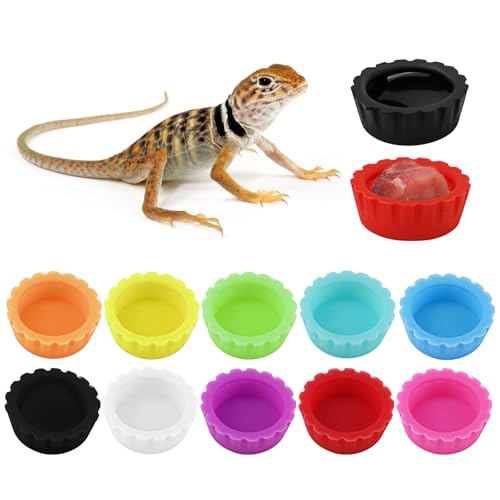 10 Pack Colorful Crested Gecko Feeding Dishes Reusable Small Reptile Food and Water Bowls Accessories for Cresteds, Tortoises, Crabs, and Small Pets10 Colors