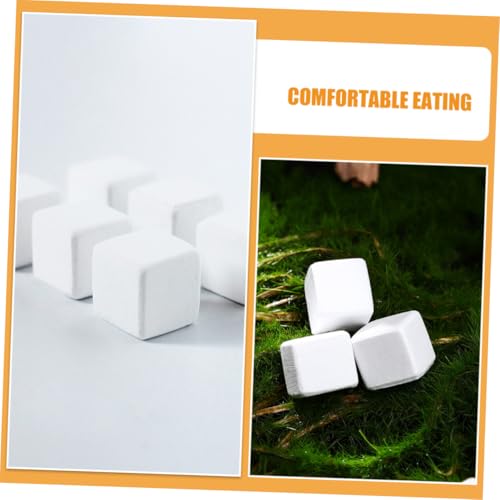 30pcs Natural Mineral Calcium Blocks for Reptiles Amphibians and Turtles for Tortoises Frogs Chameleons and Lizards Supports Immune Function and Teeth Grinding