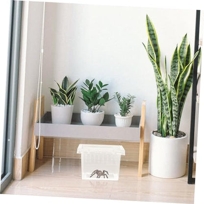 WOONEKY Full Observation Reptile Breeding Box Plastic Reptile Box Ventilation Fine Craftsmanship