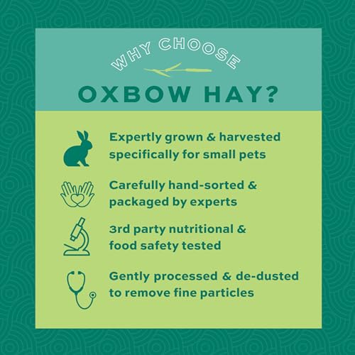 Oxbow Orchard Grass Hay for Small Pets – All-Natural Long Strand Fiber Hay for Rabbits, Guinea Pigs, Chinchillas, and Hamsters – Supports Digestive Health and Enrichment – 40 oz Bag - size: 40 Ounce (Pack of 1)