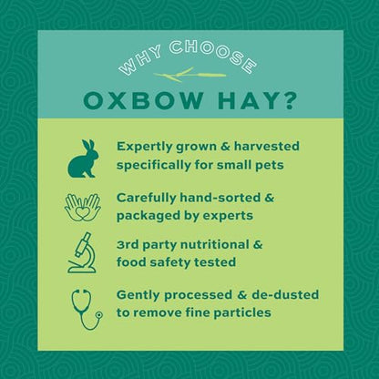 Oxbow Orchard Grass Hay for Small Pets – All-Natural Long Strand Fiber Hay for Rabbits, Guinea Pigs, Chinchillas, and Hamsters – Supports Digestive Health and Enrichment – 40 oz Bag - size: 40 Ounce (Pack of 1)