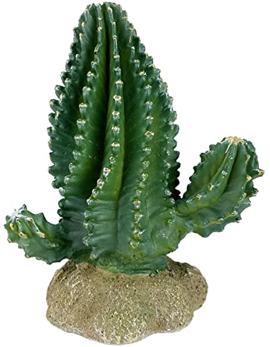 Multi Pet 48593320: Komodo Cactus Plant Columnar, 5.9In