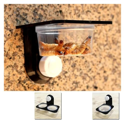 Reptile Tank Accessories Insect Spider Ants Nest Snake Gecko Food Water Feeding Bowl Terrarium Breeding Feeders Box Pets Supplie(Single bo) - color: Single bo