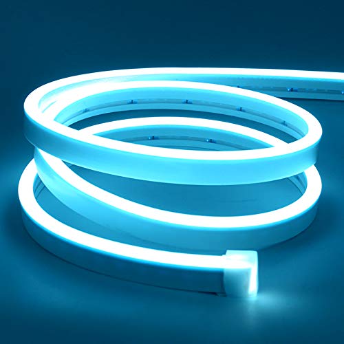 Lamomo LED Neon Lights, 16.4ft Ice Blue LED Strip Light, 12V 0.39In/Cut Silicone Waterproof Neon Rope Light for Bedroom Indoor Outdoor Decoration（Power Adapter not Included） - color: Ice Blue, size: 16.4 Ft