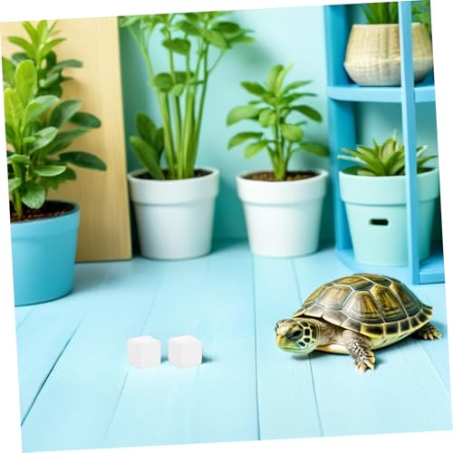 Tortoise Calcium Blocks 6pcs Calcium Cubes for Reptile Health Supplement Turtle Tank for Enhanced Strength