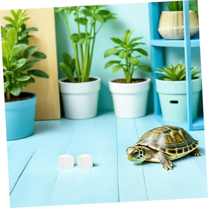 Tortoise Calcium Blocks 6pcs Calcium Cubes for Reptile Health Supplement Turtle Tank for Enhanced Strength