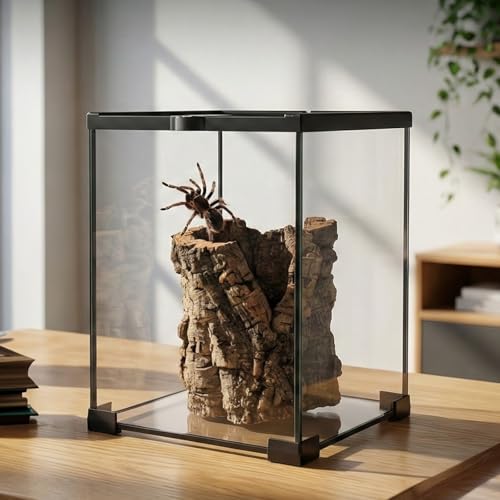 8x8x12 Terrarium Glass Tarantula Enclosure: Jumping Spider Enclosure with Lockable Sliding Screen Top for Crested Gecko Hermit Crab - Full View Stackable Vertical Tank for Arboreal Frog Habitat - color: Glass, size: 8x8x12