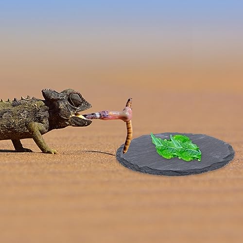 POPETPOP Turtle Basking Platform -2pcs Reptile Basking Rock Turtle Resting Platform Tortoise Habitat Accessories for Bearded Dragons Amphibians Leopard Gecko