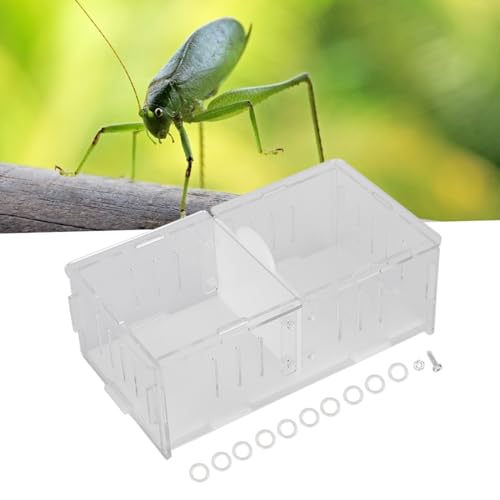 Acrylic Reptile Breeding Box, Feeding and Landscaping Container, 19 x 11 x 7.2cm - Durable Transparent Design, Movable Partition, Easy Viewing and Cleaning
