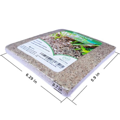 2QT Pothos Soil, Ideal Soilless Potting Soil Mix for All Indoor Plants that Require Constant Humidity and Fast Drainage