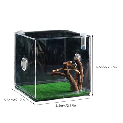 Reptile Growth Terrarium - Acrylic Jumping Spider Clear Container, Clearer View Small Pet Enclosure, Practical Convenient Spacious Habitat, Durable Housing Design Versatile Use | for Snails Lizards Be - color: Aqua