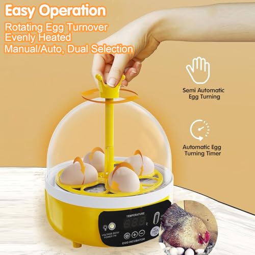 Tissting 4 Eggs Mini Incubator with Transparent Lid,7W Automatic Temperature Humidity Control,Household Small Poultry Hatching Machine,for Chickens Ducks Pigeons (Auto Turning) - color: 4 Eggs Auto Turning