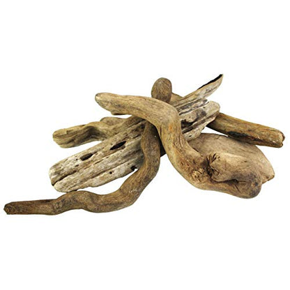 3 Pieces of 4"-6" Natural Pacific Driftwood for Aquarium Décor, Terrariums, Arts & Crafts and Reptile Habitats