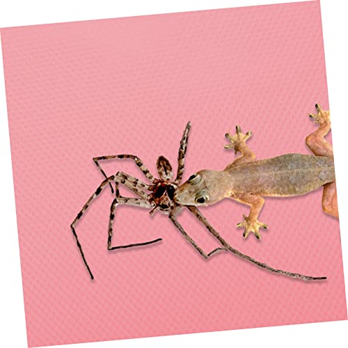 GALPADA Reptile Carpet Substrate for Terrarium Nonslip Reptile Bedding for Leopard Gecko Lizard Snake and Tortoise Sturdy and Easy to Clean Accessories