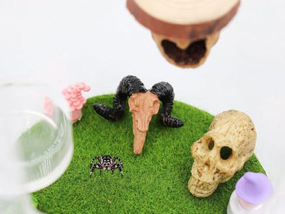 Oooct 8 Pcs Mini Animal Skull Statues - Realistic Resin Skeleton Head Decor for Reptile Habitat, Aquarium, Terrarium Tank Accessories for Bearded Dragons, Geckos, Lizards, Halloween Christmas Crafts