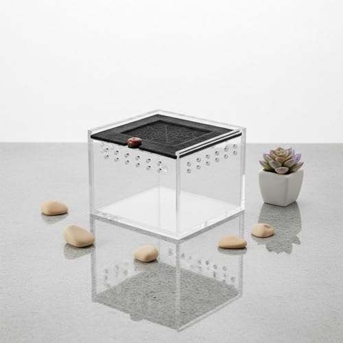 Acrylic Habitat Reptile Terrarium Breeding Box Animal Enclosure Feeding Box Transparent Material with Ventilation Holes Suitable for Hobbyists Home Display, Black - style: Black