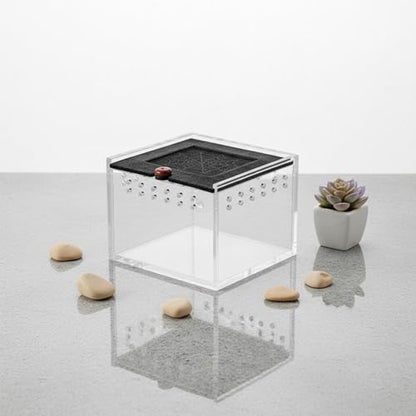 Acrylic Habitat Reptile Terrarium Animal Enclosure Feeding Box Stackable Design with Sliding Lid Suitable for Beginners Desktop Observation, Khaki - style: Khaki