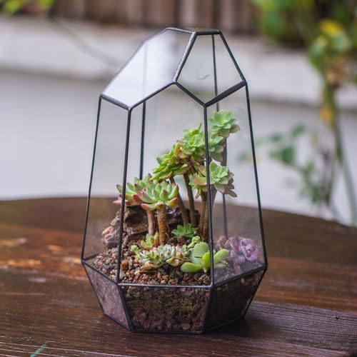 NCYP No Door Geometric Glass Terrarium Planter for Small Succulent, Small Cacti, Black Irregular Opened Terrarium Pot, Indoor Home Garden Office Tabletop Decor, 6.5" x 5.7" x 9.8" (No Plants) - size: 6.5"x5.7"x9.8"
