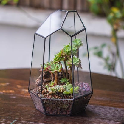 NCYP No Door Geometric Glass Terrarium Planter for Small Succulent, Small Cacti, Black Irregular Opened Terrarium Pot, Indoor Home Garden Office Tabletop Decor, 6.5" x 5.7" x 9.8" (No Plants) - size: 6.5"x5.7"x9.8"