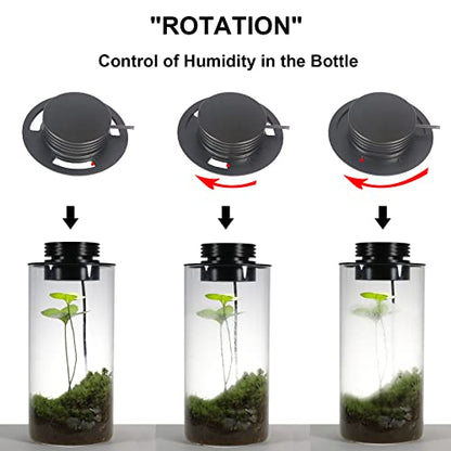 AREPK Desktop Glass Plant Terrarium with Grow Light (H:7.8" D:4"), for Succulent, Moss, Miniature Gardening Landscape, Betta Fish Tank, Office Home Decoration, Plant Lovers Gifts