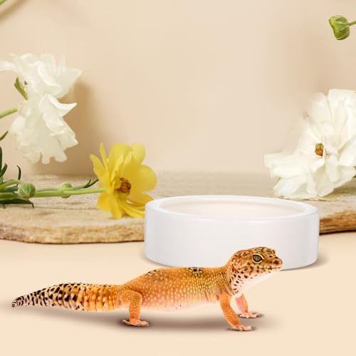 Reptile Feeding Bowls with Stable Desktop Standing Ceramic 2 Pcs for Small Lizards and Anti-Escape Design, White Round Food and Water Dishes for Reptile Feeding