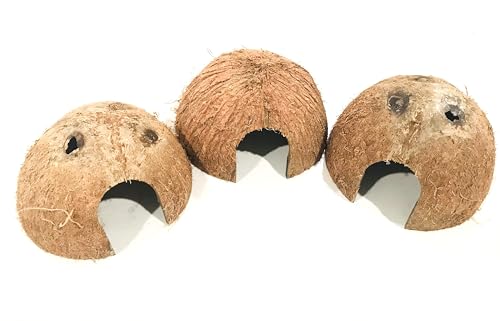 Durable 3 pc Coconut Hide, Natural Home for Guppies, Tetras, Betta Fish, Shrimp, Pleco, Perfect for Your Aquarium, Perfect Hideout for Spiders, Toad, Lizard and Small Crabs, 3 Half Shells (Small)