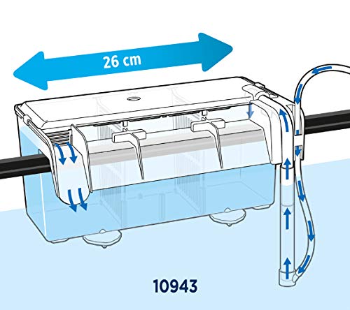 Fluval Multi-Chamber Holding and Breeding Box, Large – Up To 3 Separate Housing Compartments - size: Large