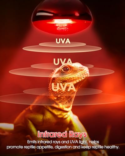 Flaspar 100W Reptile RED Heat Lamp Bulbs, Reptile & Amphibian Basking Spot Light Bulbs for Chickens Coop Pets Brooder Bearded Dragon Lizard Tortoise Use, Pack of 2 - color: Red