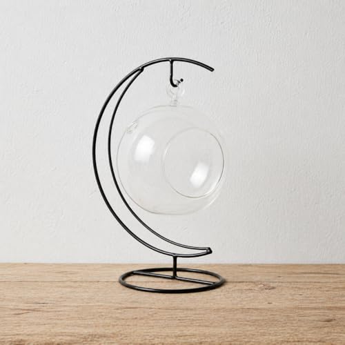 Creations by Nathalie Glass Terrarium: Air Plant & Succulent Holder, DIY Kit Vase (Glass Globe with Stand)