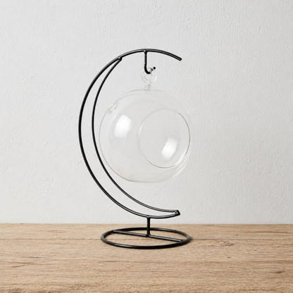 Creations by Nathalie Glass Terrarium: Air Plant & Succulent Holder, DIY Kit Vase (Glass Globe with Stand)