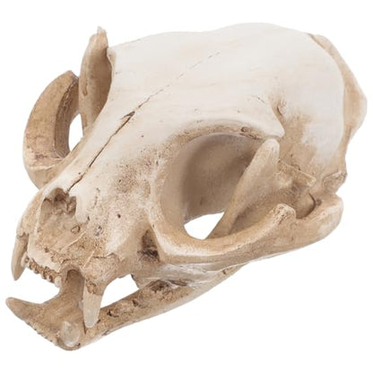 ABOOFAN Cat Skeleton Resin Model Fortune Cat Skull Figurine for Fish Tank Decoration Unique Handmade Aquarium Decor Safe for Fish for Collectibles and Teaching