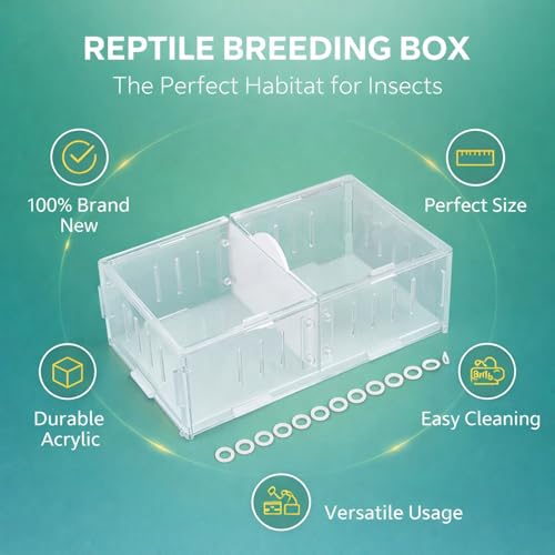Acrylic Reptile Breeding Box, Feeding and Landscaping Container, 19 x 11 x 7.2cm - Durable Transparent Design, Movable Partition, Easy Viewing and Cleaning