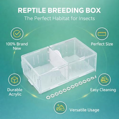 Acrylic Reptile Breeding Box, Feeding and Landscaping Container, 19 x 11 x 7.2cm - Durable Transparent Design, Movable Partition, Easy Viewing and Cleaning