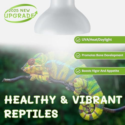 Reptile Heat Lamp Bulbs, 2 Pack 50W Simulate Natural Sunlight Heat Light Bulb, Amphibian Terrarium Basking Spot Lamp for Reptile, Bearded Dragon, Lizard, Turtle, Snake - color: Basking Bulb, size: Basking (2*50)