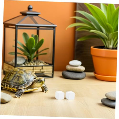 NUOBESTY Tortoise Tank Calcium Blocks 6pcs Mineral Calcium for Reptiles and Amphibians, Natural Mineral Chew Stones to Enhance Strength and Provide Trace Elements