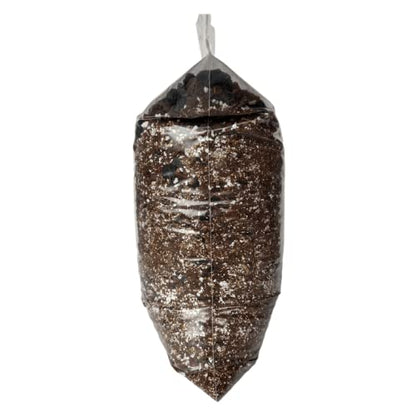 rePotme Philodendron and Aroid Imperial Houseplant Potting Soil Mix - Mini Bag (2 Quarts) - Hand Blended in The USA - color: Philodendron, size: Mini Bag - 2 Quarts