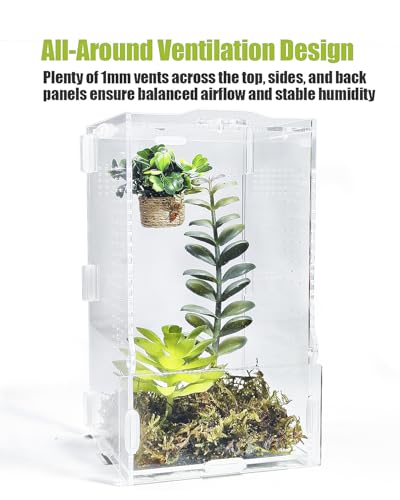 Jumping Spider Enclosure, Transparent Arboreal Tarantula Habitat, Praying Mantis Terrarium Critter Cage for Jumping Spider, Tarantula Slings, Mantis, Snail, Isopods, Beetles, Millipedes - size: Small