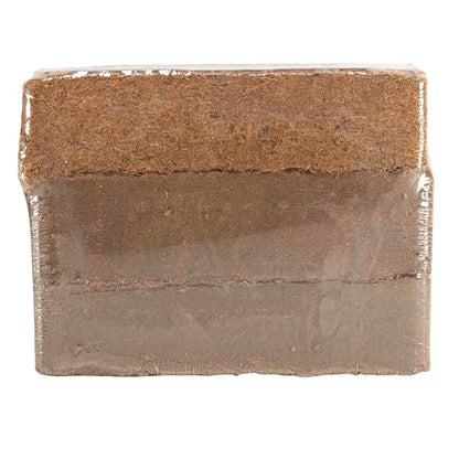 Zoo Med Eco Earth, Three Count. (Pack of Two)