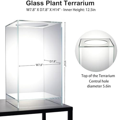 Desktop Glass Plant Terrarium with Grow Light(L7.8 W7.8 H14), for Succulent, Moss, Miniature Gardening Landscape, Betta Fish Tank, Indoor Plant Growth, Office Home Decoration (TimeControlled)